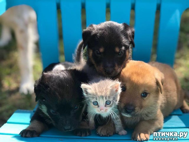 ���� 7: ������� ������ ��������� ��������� ����� ������ � ������� ��������