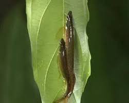 ���� 3: ��� ��������...