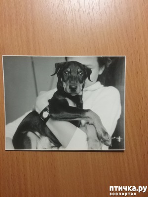 ����: ����������� � ����� "�������� ��� ������� ��������� "���� ���� �����"