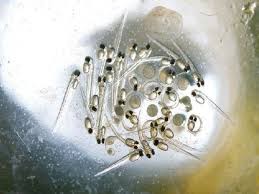 ���� 5: ��� ��������...