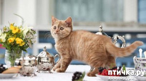 ����: ����� ����� �� ������