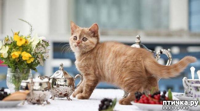 ���� 1: ����� ����� �� ������