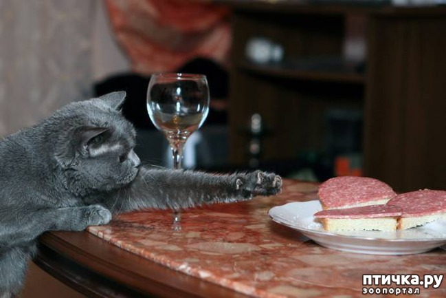 ���� 2: ����� ����� �� ������