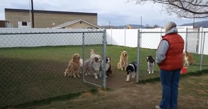 ����: �� �� ���������, � ����� �������)))