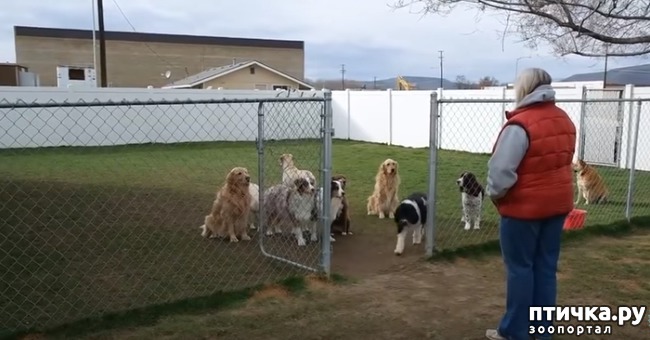 ���� 1: �� �� ���������, � ����� �������)))