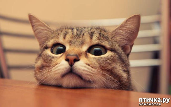 ���� 3: ����� ����� �� ������