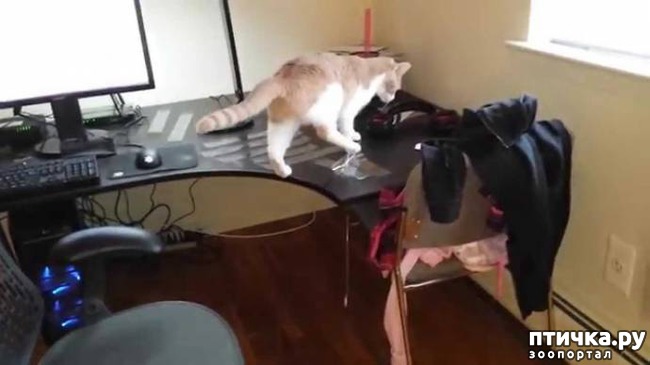 ���� 4: ����� ����� �� ������