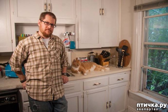 ���� 6: ����� ����� �� ������