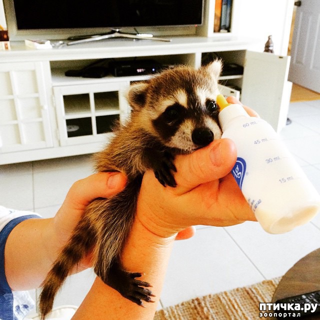 ���� 3: ��������� ���� ������, ��� �� ������