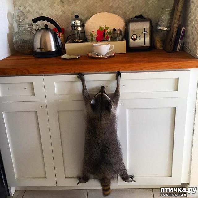 ���� 5: ��������� ���� ������, ��� �� ������