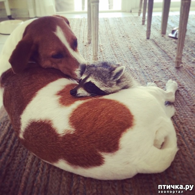 ���� 6: ��������� ���� ������, ��� �� ������