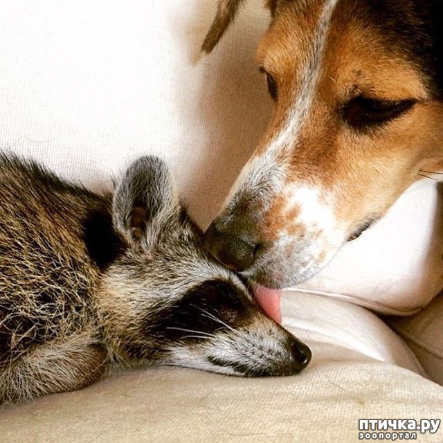 ���� 8: ��������� ���� ������, ��� �� ������