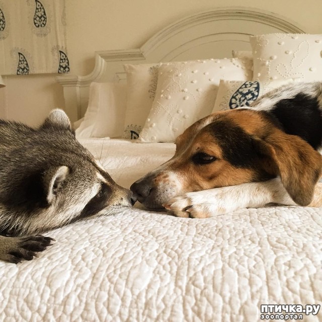 ���� 9: ��������� ���� ������, ��� �� ������