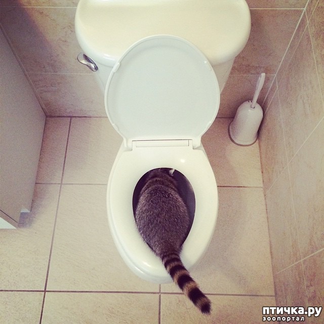 ���� 12: ��������� ���� ������, ��� �� ������