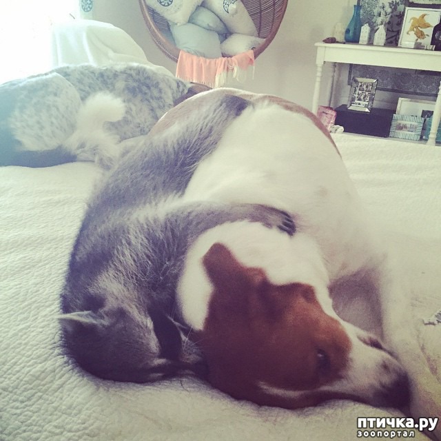 ���� 17: ��������� ���� ������, ��� �� ������