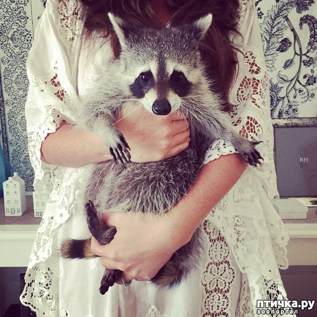 ���� 18: ��������� ���� ������, ��� �� ������