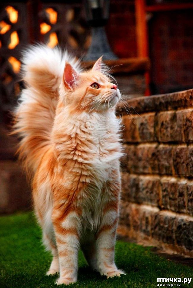 ���� 1: 16 ������� � ������� �����, ������� ������ ��� ������� ���������