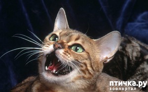 ����: ������� ���� � ������������ ������)