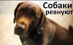 ����: ������ ����� ���������� ������� ��������