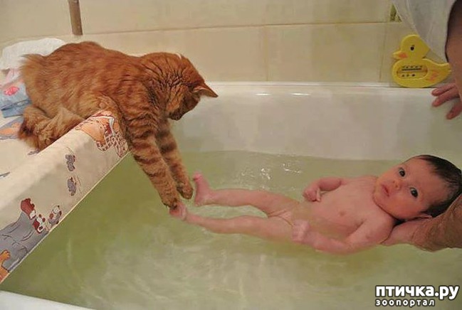 ���� 7: 16 ������� � ������� �����, ������� ������ ��� ������� ���������