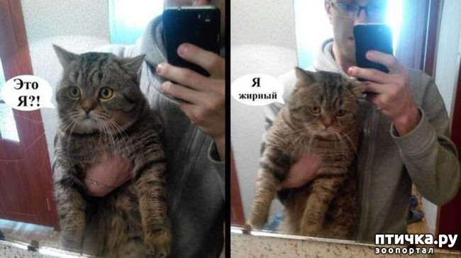 ���� 8: 16 ������� � ������� �����, ������� ������ ��� ������� ���������