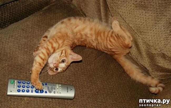 ���� 9: 16 ������� � ������� �����, ������� ������ ��� ������� ���������