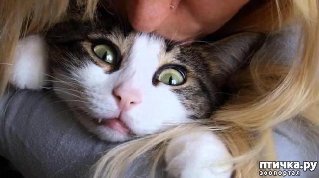 ���� 10: 16 ������� � ������� �����, ������� ������ ��� ������� ���������