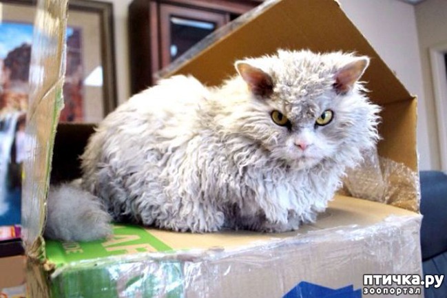 ���� 11: 16 ������� � ������� �����, ������� ������ ��� ������� ���������