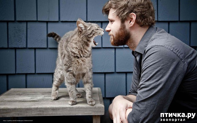 ���� 12: 16 ������� � ������� �����, ������� ������ ��� ������� ���������