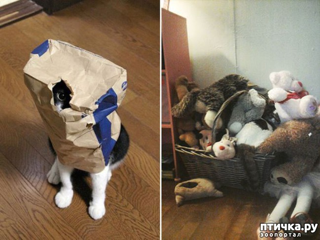 ���� 16: 16 ������� � ������� �����, ������� ������ ��� ������� ���������