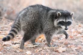 ���� 2: ��� ��� � ������.