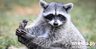 ���� 3: ��� ��� � ������.