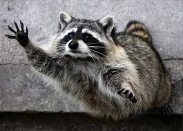 ���� 4: ��� ��� � ������.