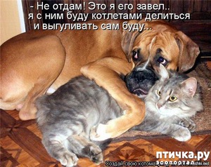 ����: ������ �������� ��� ������?