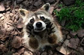 ���� 5: ��� ��� � ������.