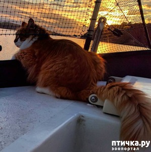 ����: ����-��� ������ ������� � ����� ������ �� ����� ������ ��������