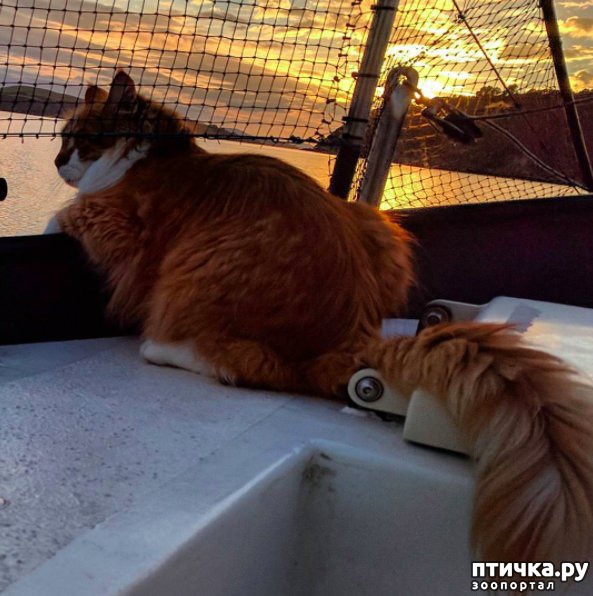 ���� 1: ����-��� ������ ������� � ����� ������ �� ����� ������ ��������