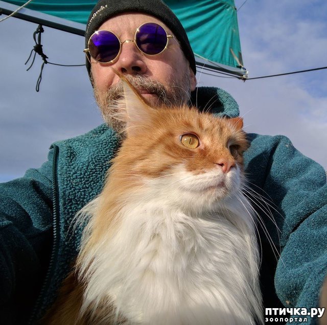 ���� 2: ����-��� ������ ������� � ����� ������ �� ����� ������ ��������