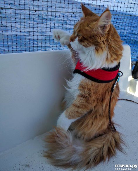 ���� 3: ����-��� ������ ������� � ����� ������ �� ����� ������ ��������