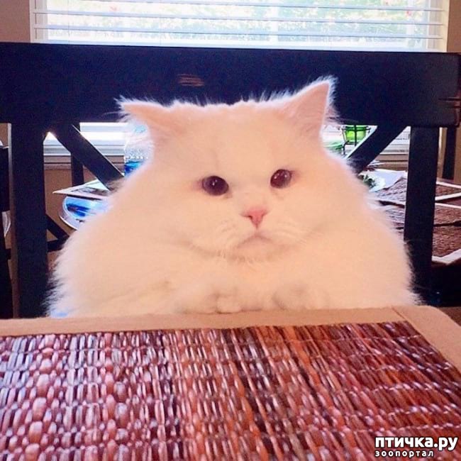 ���� 2: �������� ����������, � ������� ����� ��� ���� �����)))