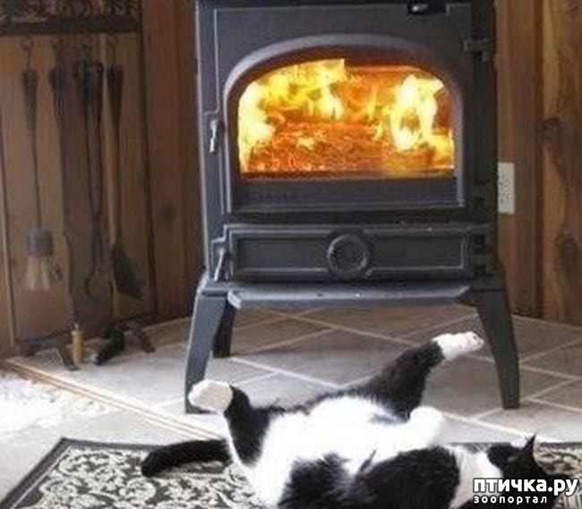 ���� 5: �������� ����������, � ������� ����� ��� ���� �����)))