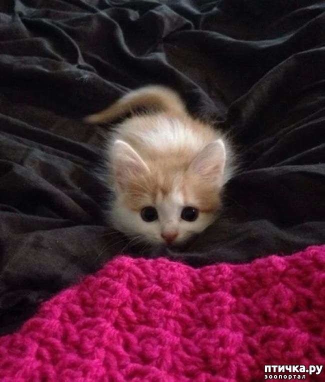 ���� 6: �������� ����������, � ������� ����� ��� ���� �����)))