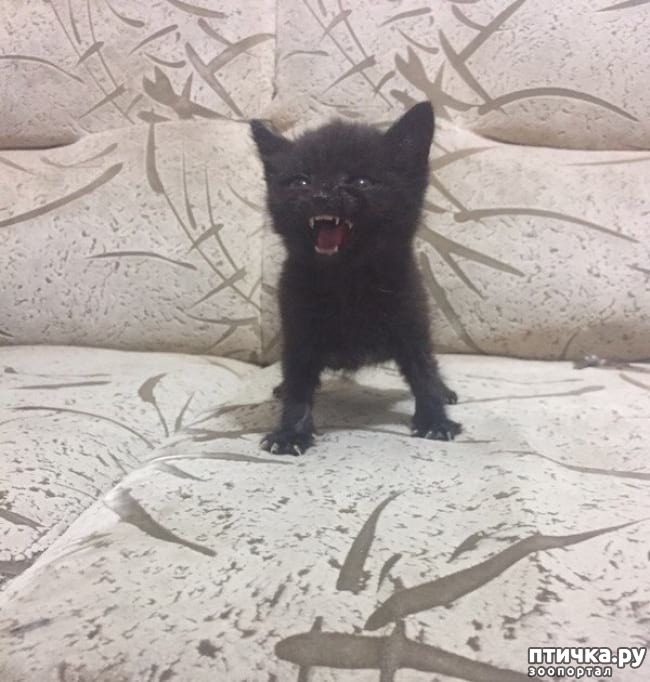 ���� 7: �������� ����������, � ������� ����� ��� ���� �����)))