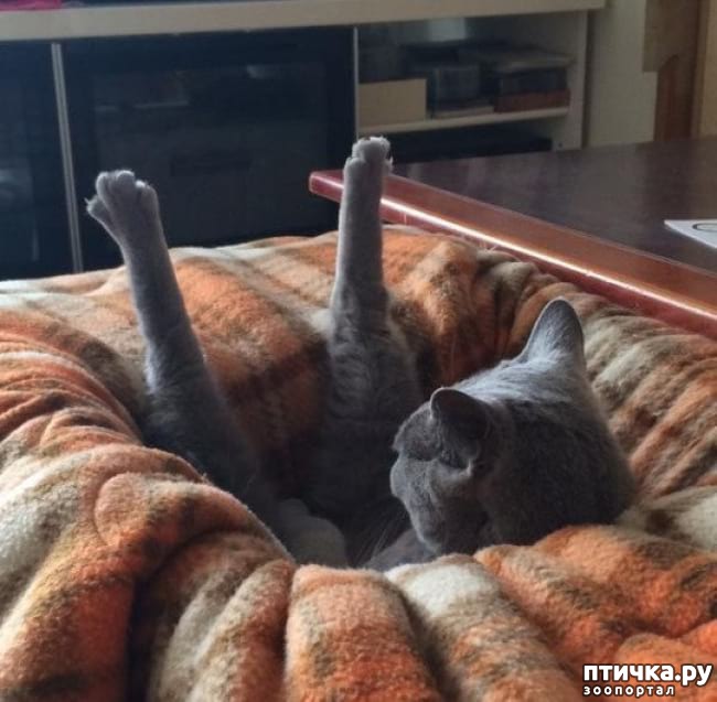 ���� 9: �������� ����������, � ������� ����� ��� ���� �����)))