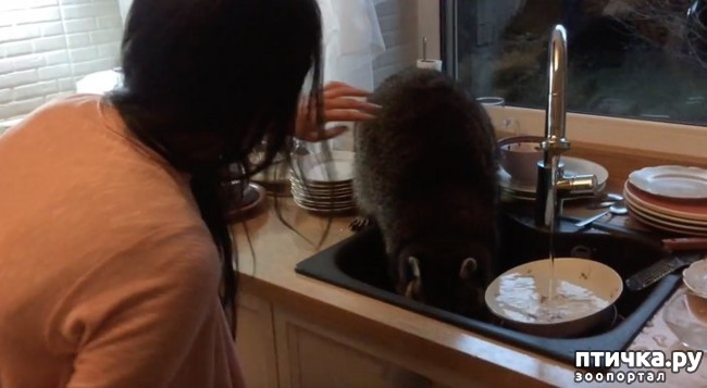 ���� 2: � ���������� ���� �������� � ��� � ����� ��������� ������� ������