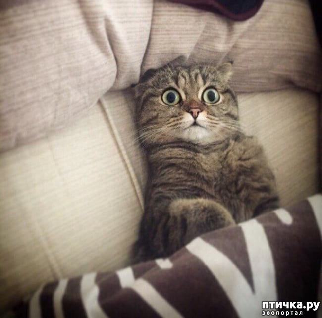 ���� 10: �������� ����������, � ������� ����� ��� ���� �����)))