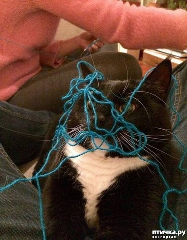 ���� 12: �������� ����������, � ������� ����� ��� ���� �����)))