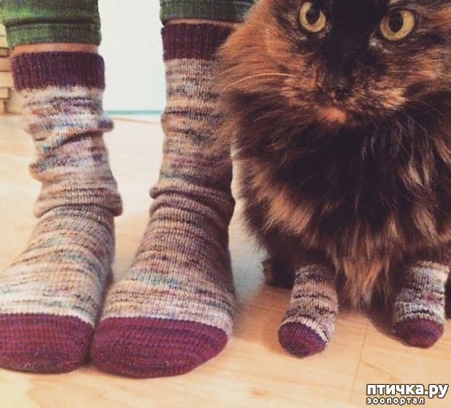 ���� 13: �������� ����������, � ������� ����� ��� ���� �����)))