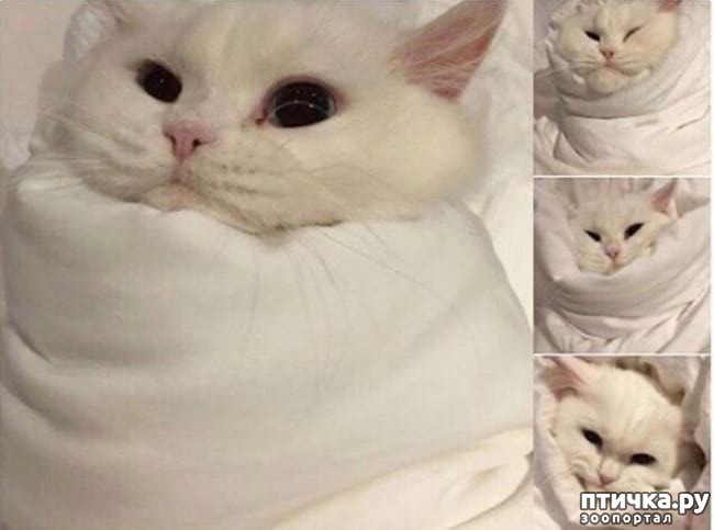 ���� 14: �������� ����������, � ������� ����� ��� ���� �����)))