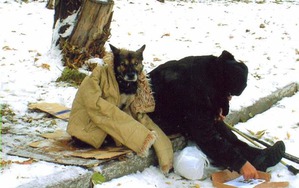 ����: ������� ����� ������